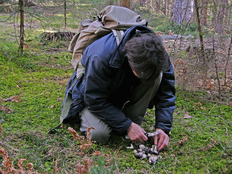 Qualcosa si muove...